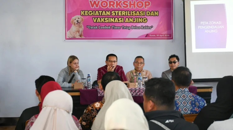 Pemda Lombok Timur Dorong Sterilisasi Anjing Liar Demi Keamanan Warga