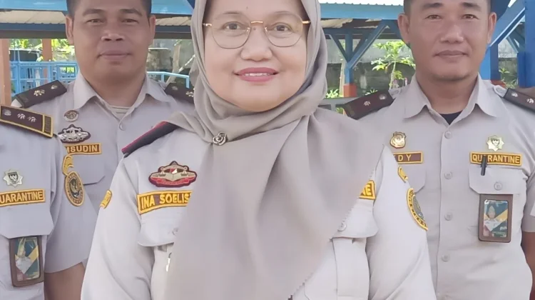 Cegah Kematian Sapi Kurban di Pelabuhan, BKHIT NTB Salurkan Ribuan Liter Air