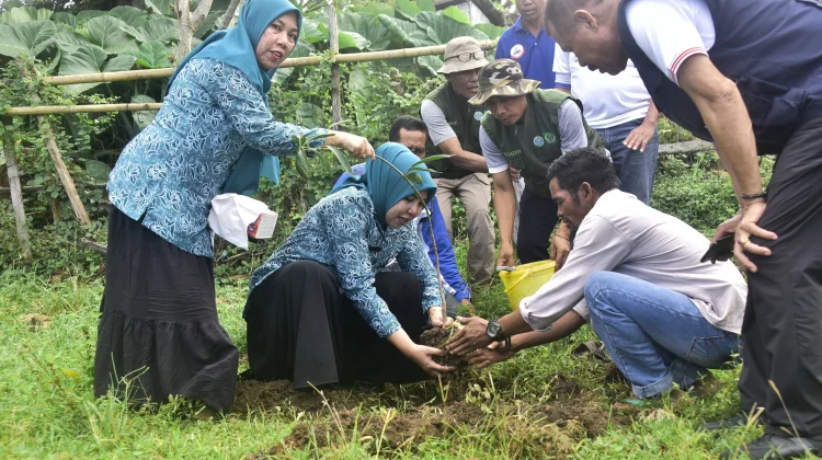 Hijaukan Lambitu, Gerakan Perempuan Bima Tanam Harapan untuk Masa Depan