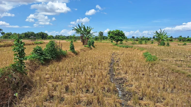 Warige Pemandu Petani Lombok Selatan