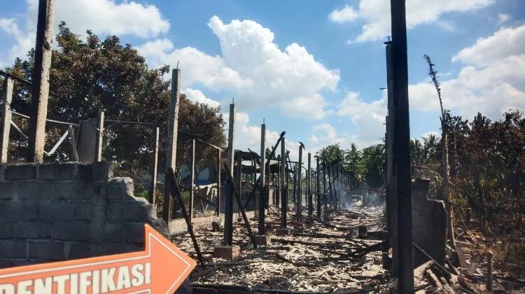 Kebakaran Kandang Ayam di Suralaga, Kerugian Ditaksir 600 Juta