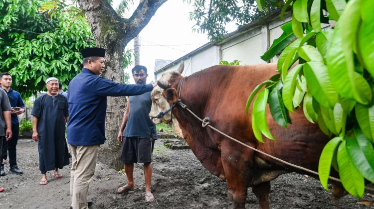 Pemprov NTB Siapkan Ratusan Hewan Kurban untuk Warga Miskin Ekstrem