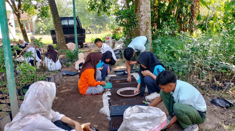 Dukung Ketahanan Pangan dan Latih Skill Siswa, SMKPP Mataram Produksi Benih Cabai