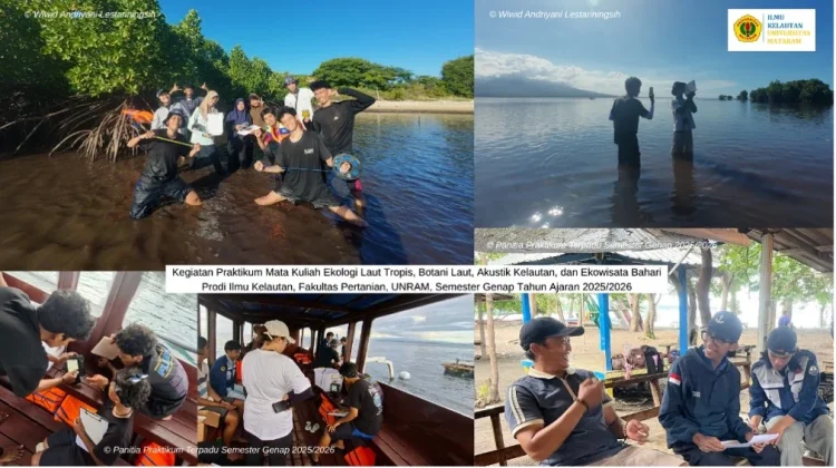 Marine Science Integrated Field Course, Belajar Langsung dari Pesisir Lombok