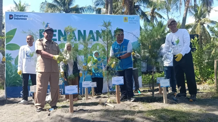 PLN EPI Tanam Ribuan Pohon di Pesisir Lombok Barat Perkuat Ekosistem Lestari