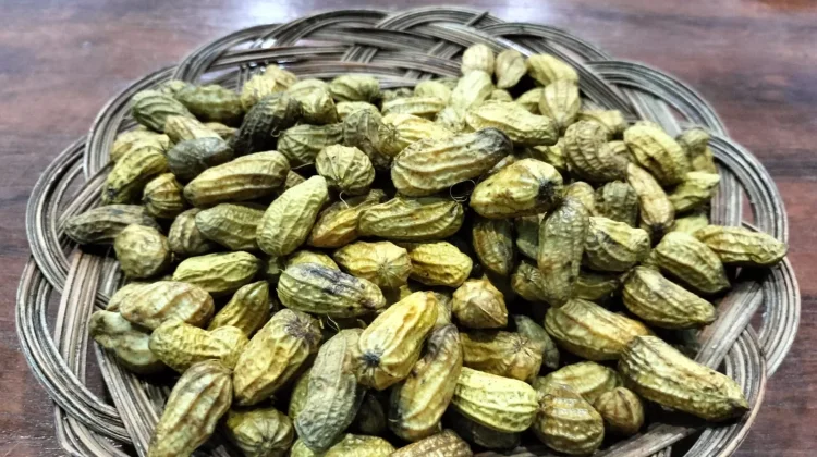 Kacang Rebus Tetap Aman, Asal Tak Berlebihan