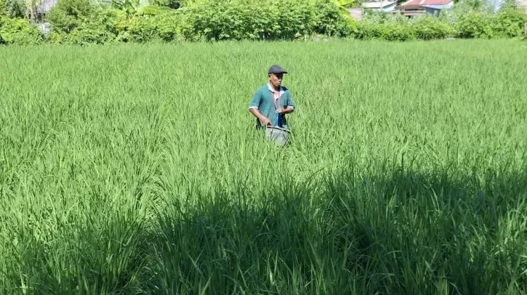 Sumbawa menuju UCJ, 26 Ribu Pekerja Informal Dilindungi
