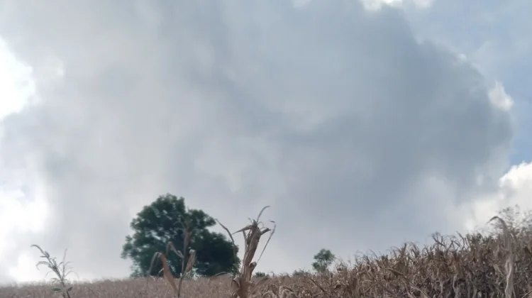 Bima Dompu : Hujan Ringan Dibeberapa Wilayah Kecamatan