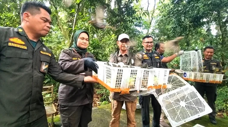 Balai Karantina NTB Lepas 1.392 Ekor Burung ke Habitat Asli di TWA Suranadi