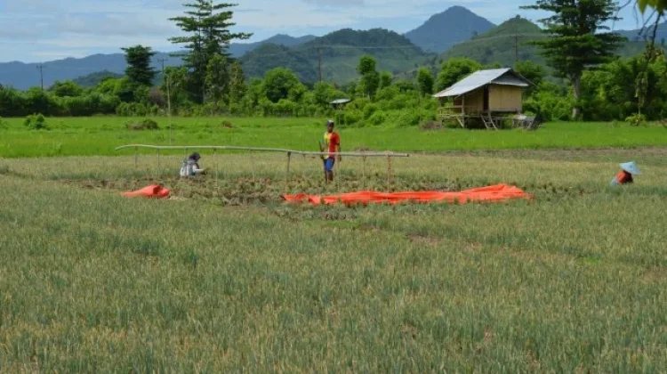 Harga Minyak Goreng dan Beras di Dompu Masih Aman
