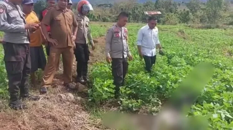Polsek Bolo Ungkap Kasus Pembunuhan Remaja di Desa Tambe