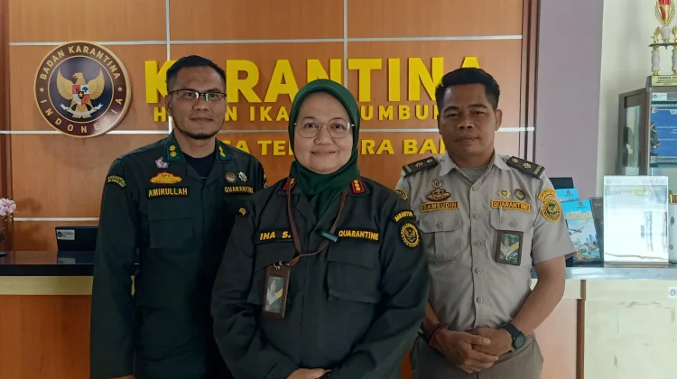 Lonjakan Pengiriman Ribuan Sapi NTB ke Jabodetabek Dipantau Ketat BKHIT NTB
