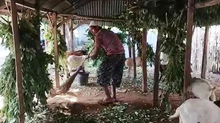 Pastikan Hewan Kurban Dompu Aman