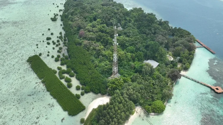 Sepanjang 2025, Telkomsel Tunjukkan Kinerja Gemilang