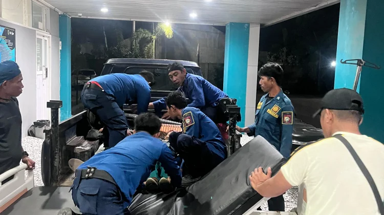Menuju Evakuasi Sarang Tawon, Tim Damkarmat Lotim Bantu Korban Kecelakaan