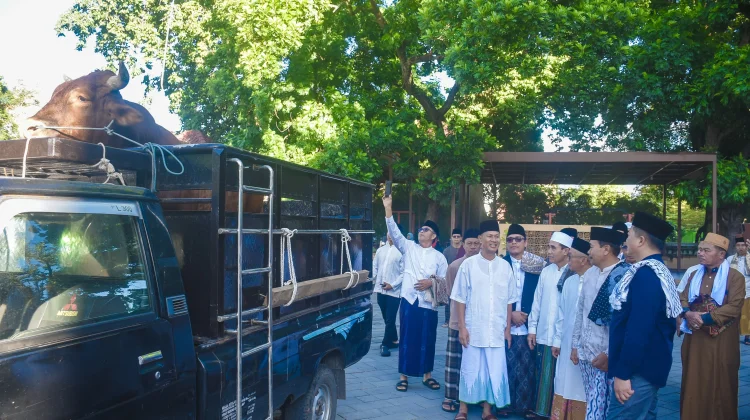 Pemprov NTB Siapkan Daging Kurban dalam Bentuk Kalengan Sasar Wilayah Pelosok