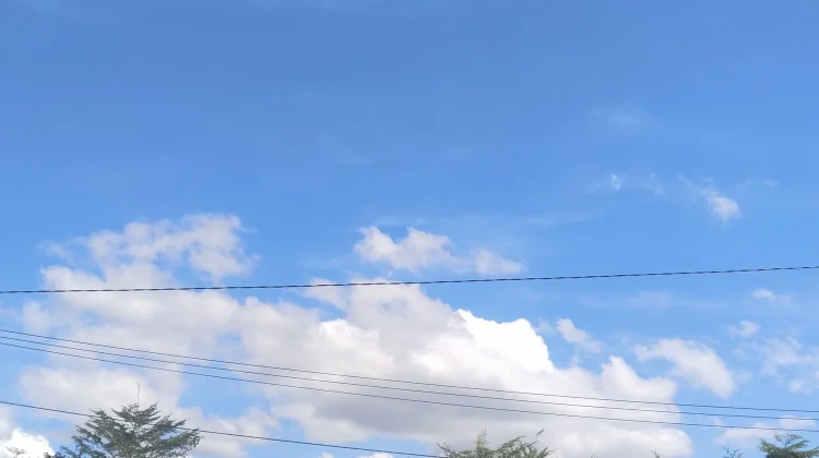 Cuaca Cerah Berawan dan Potensi Hujan Lokal Mulai Siang