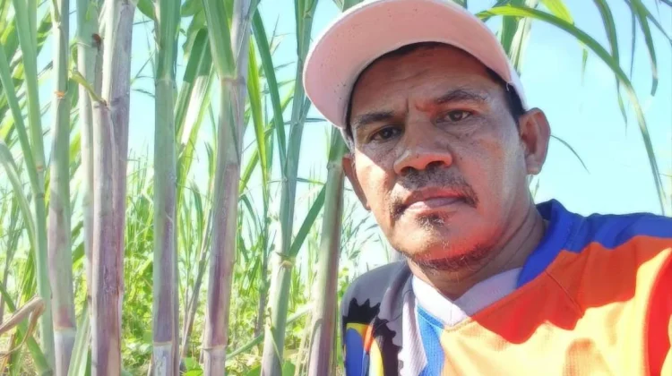 Perkebunan Tebu Mengubah Wajah dan Masa Depan Desa Doropeti