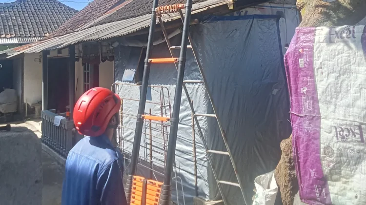 Damkarmat Lombok Timur Evakuasi Sarang Tawon Resahkan Warga di Sikur