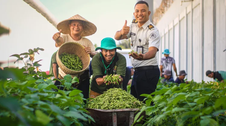 Panen Edamame Lapas Lombok Barat Targetkan Hasil hingga Tiga Ton
