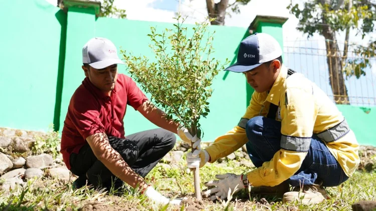 Kontribusi Nyata STM, dalam Menjaga Kelestarian Hutan