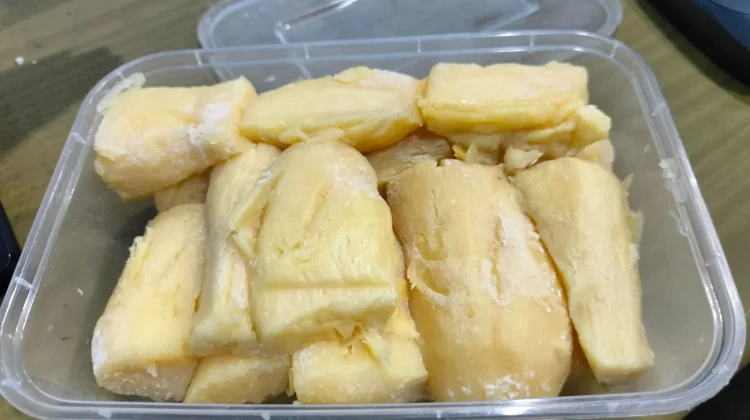 Tape Singkong, Camilan Tradisional untuk Kesehatan Usus