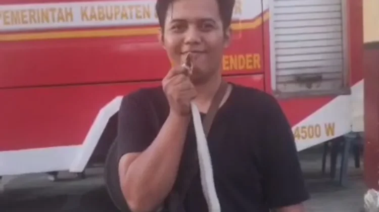 Damkarmat Lotim Evakuasi Ular Kobra di Halaman Kantor Camat Pringgabaya