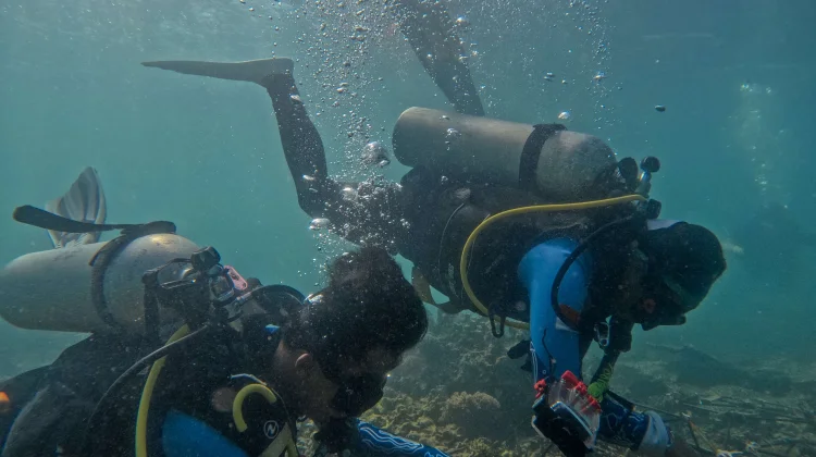 Innit Lombok dan Indonesia Biru Foundation Pulihkan Terumbu Karang Teluk Ekas