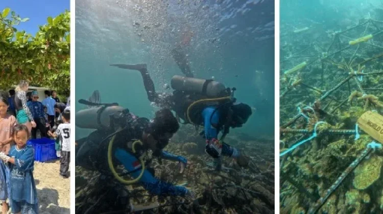 Hari Laut Sedunia, Innit Lombok Tanam Terumbu Karang di Teluk Ekas