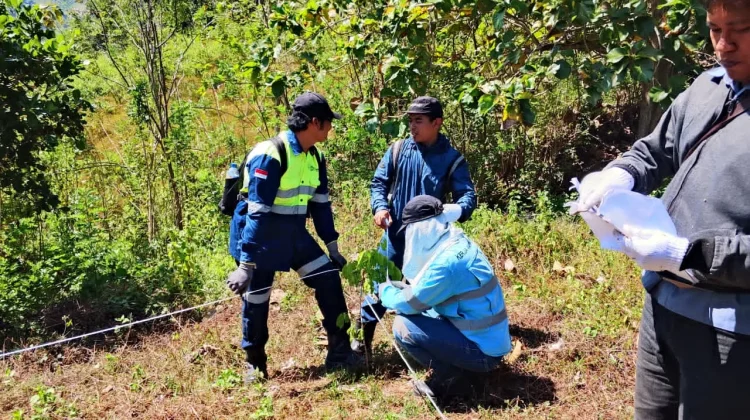 Rehabilitasi Lahan PT AMNT di Lunyuk Berjalan Baik