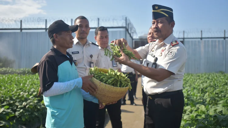 Lahan Terbengkalai di Lapas Lobar Kini Hasilkan Edamame Melimpah