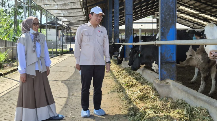 Belajar dari KAN Jabung, Koperasi Pertanian dengan Perputaran Bisnis Rp400 Miliar