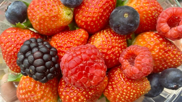 Aneka Berry Segar Kaya Vitamin dan Antioksidan