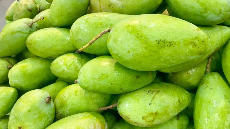 Mangga Kiojay Renyah Manis, Favorit Pecinta Buah Segar