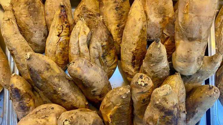 Ubi Cilembu Manis Alami, Nikmat tanpa Tambahan Gula
