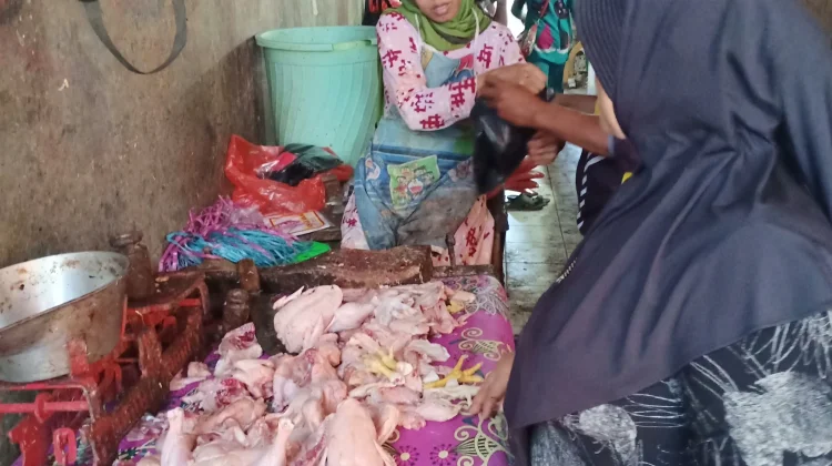 Lesunya Fiskal Daerah Mulai Pukul Pedagang dan UMKM di Dompu