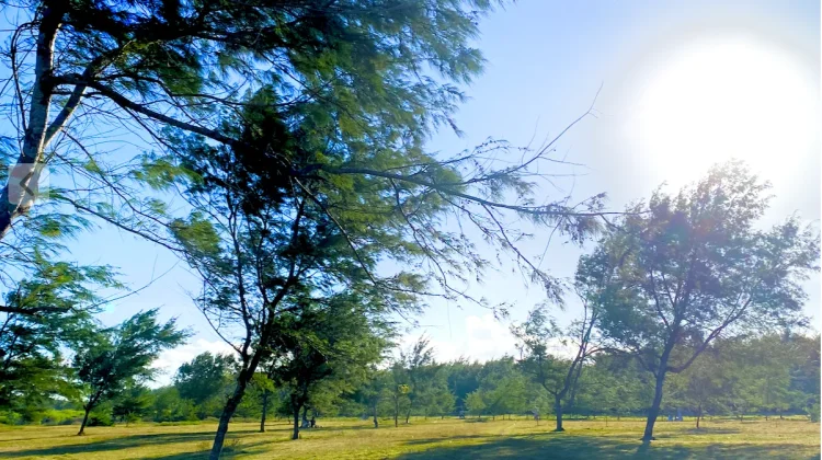Waspada Heatstroke di Musim Kemarau, Kenali Gejala dan Cara Mencegahnya