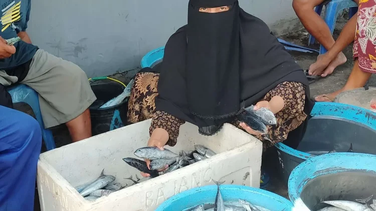 Bantuan Alat Tangkap Diprioritaskan untuk Dongkrak Produksi Tongkol