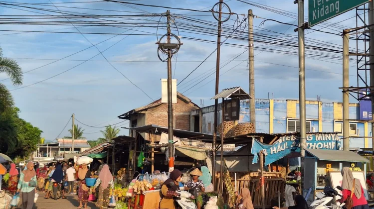 Pertanian Selatan Lombok yang Tepat, Aman, dan Berkelanjutan