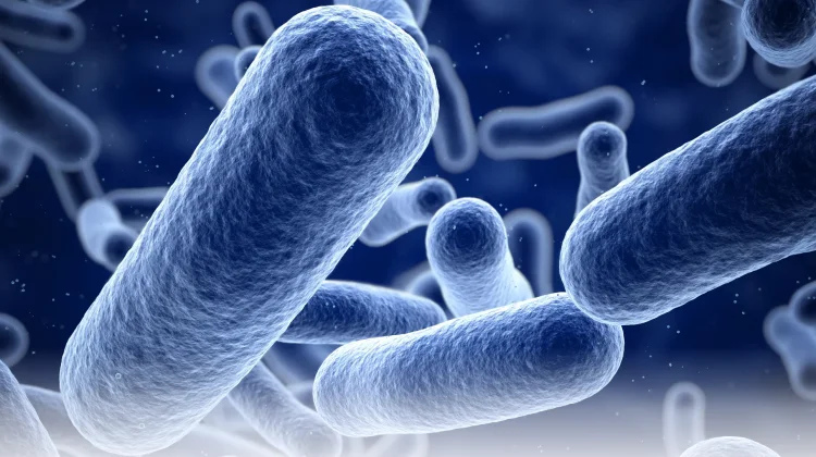 BBPOM Usulkan Pendekatan One Health Jadi Kunci Tekan Resistensi Antibiotik di NTB