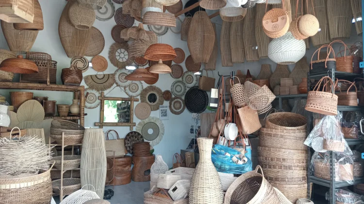 Potensi Tumbuh Kembang Tanaman Bambu di Lombok