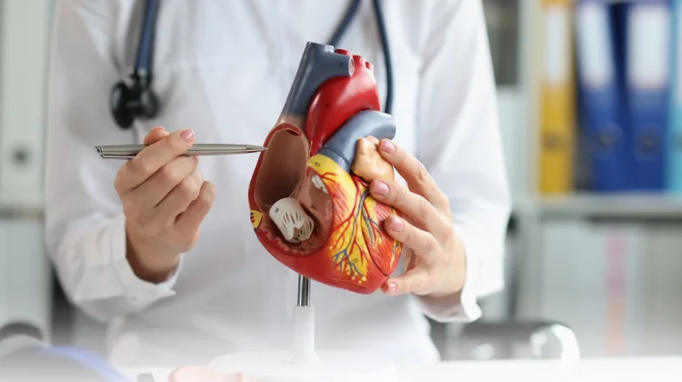RSUD KLU Perkuat SDM dan Siapkan Layanan Jantung hingga Kanker Lewat Program KJSU