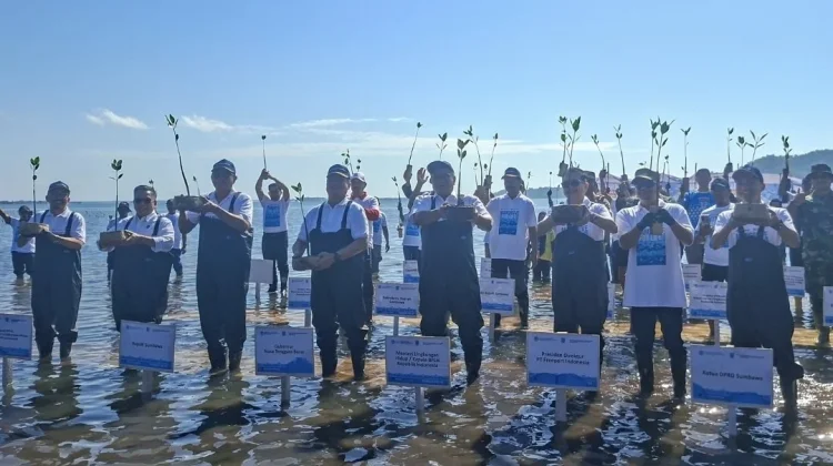 Galakkan Tobat Ekologis, Menteri LH Tanam Mangrove di Alas