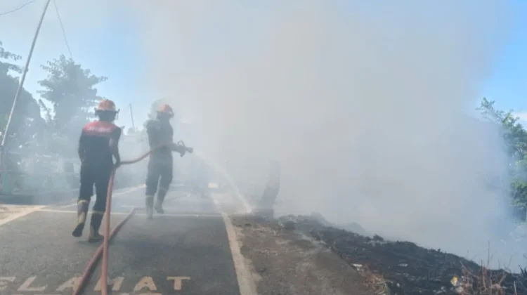 Cuaca Ekstrem Picu Kebakaran Sampah di Sambelia, Damkar Cegah ke Permukiman Warga