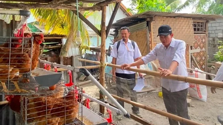 Wabup Loteng Pastikan Program Ayam Petelur Bantu Tekan Stunting