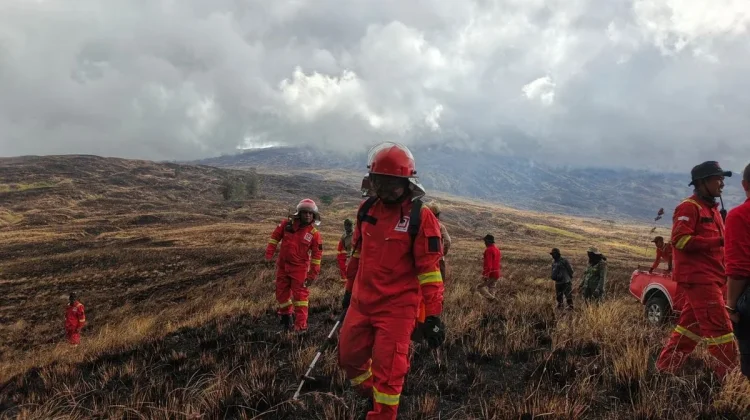 Ribuan Hektar Savana TN Tambora, Terbakar