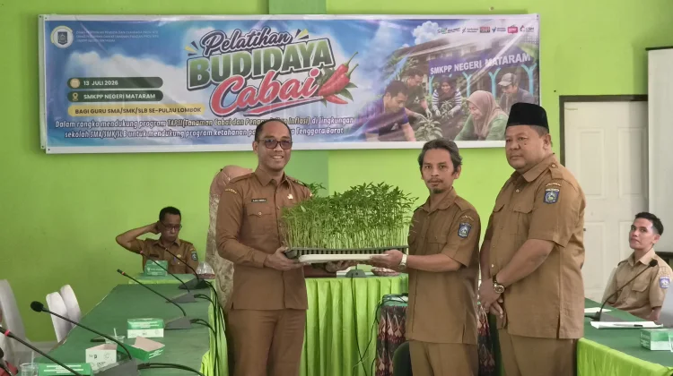 Gerakan Tanam Cabai Masuk Sekolah, Bentuk Ikhtiar NTB Kendalikan Inflasi