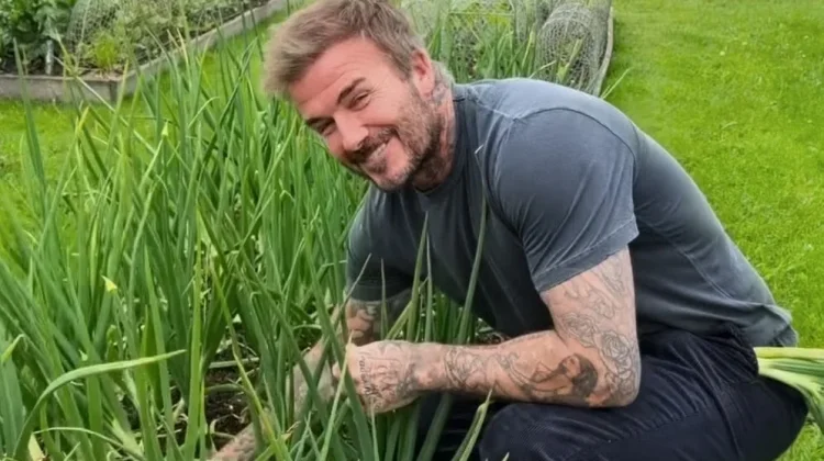 Dari Lapangan Hijau ke Kebun, Aksi Seru David Beckham Jadi Petani