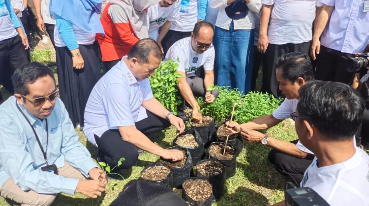 Tekan Inflasi, Siswa Baru di NTB Wajib Tanam Cabai