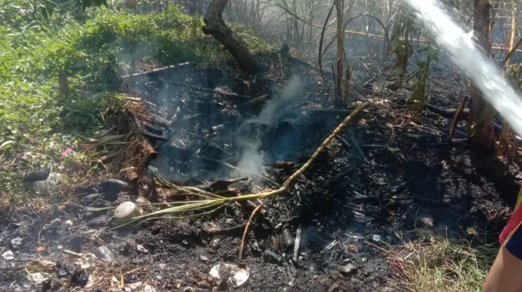 Kebakaran Lahan Tebu di Jerowaru Berhasil Dipadamkan Damkarmat Lotim